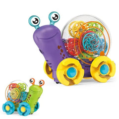 Didactico Caracol