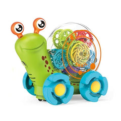 Didactico Caracol