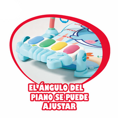 Gimnasio Piano DY888