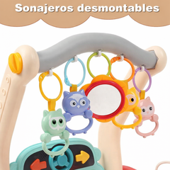 Gimnasio Andadera multifuncional HE0640