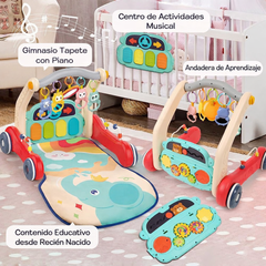 Gimnasio Andadera multifuncional HE0640