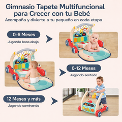 Gimnasio Andadera multifuncional HE0640