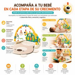 Gimnasio de Actividades con Piano
